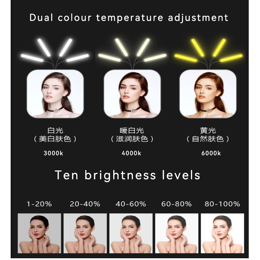 Dual Head / Quad Head / Hex He - Photography Lighting No Shadows ulasan dan harga